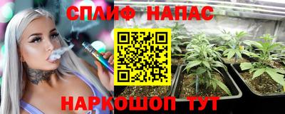трава Новодвинск