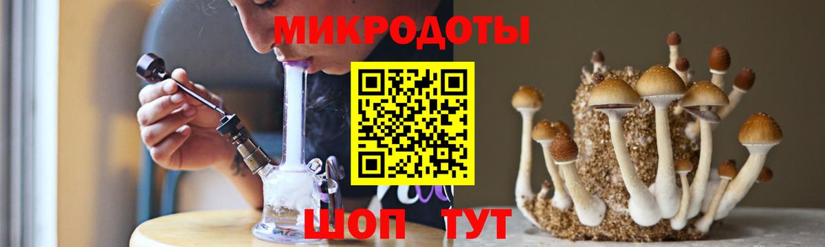 Тимашёвск  что такое наркотик  Вход с VPN  Галлюциногенные грибы мицелий 